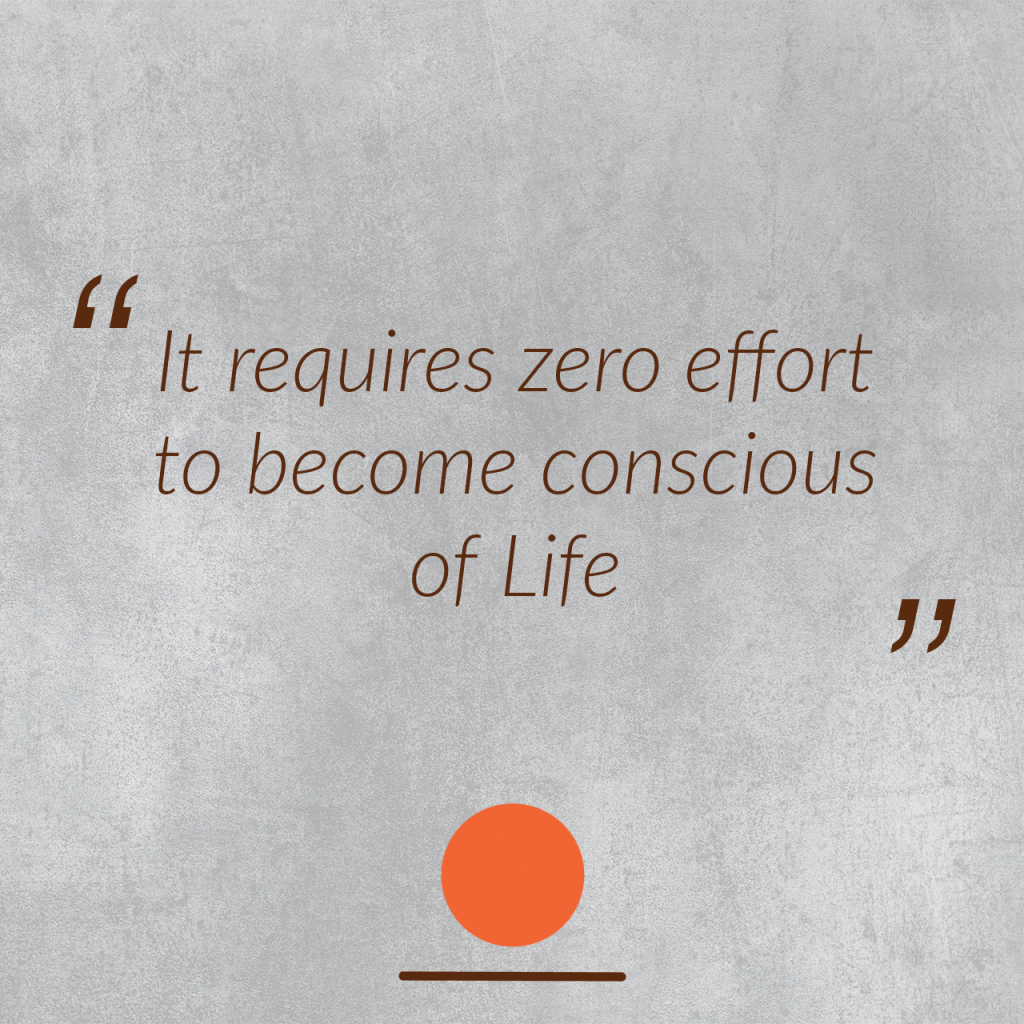 It requires zero effort to become conscious of Life